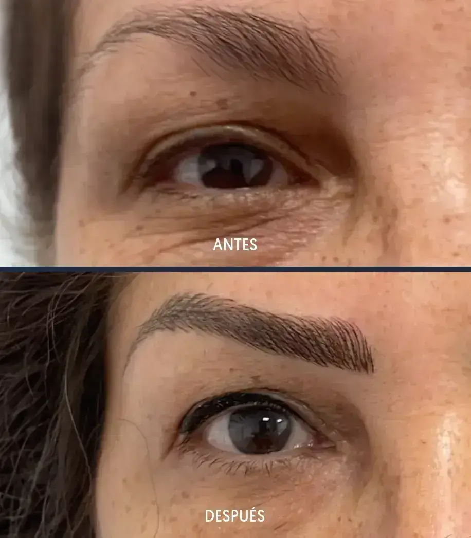 Micropigmentación de cejas sombreadas