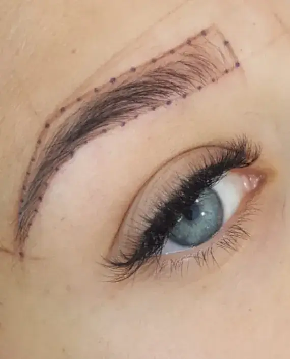 Micropigmentación de cejas sombreadas